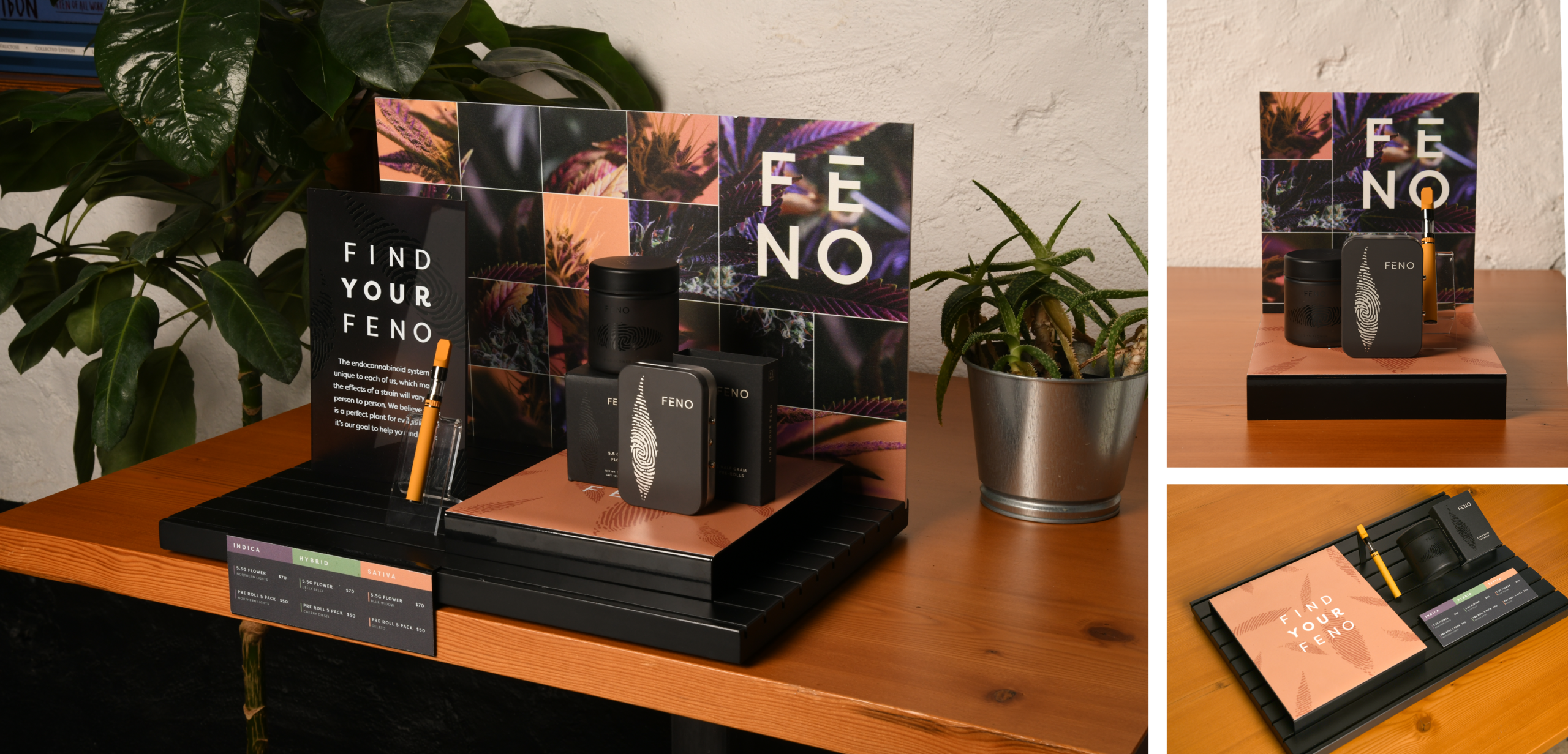 Feno_Hero3 Feno_Hero3